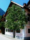 Hallstatt